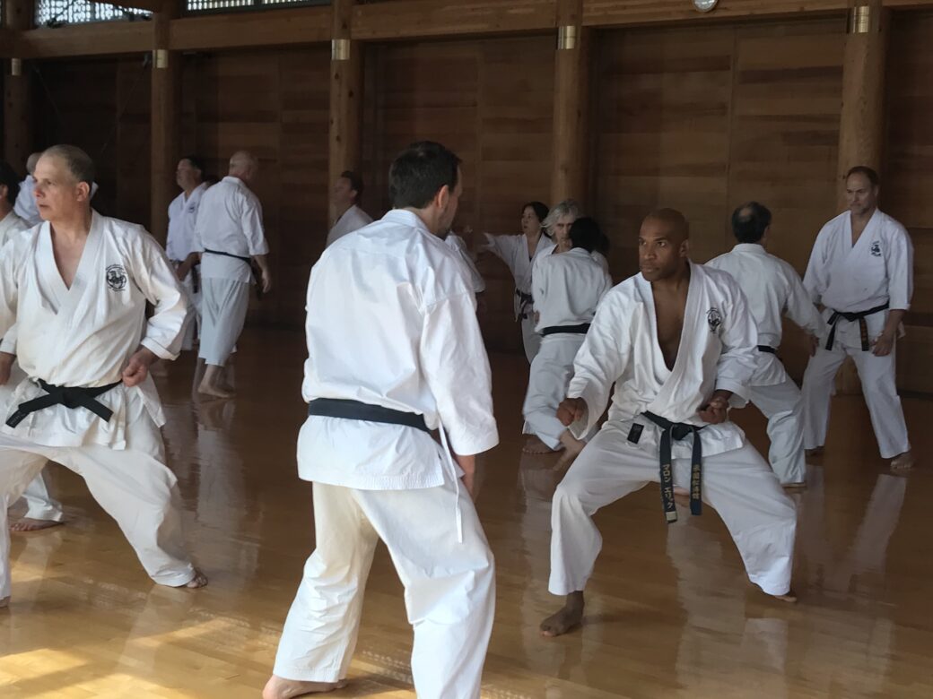 Kumite Practice