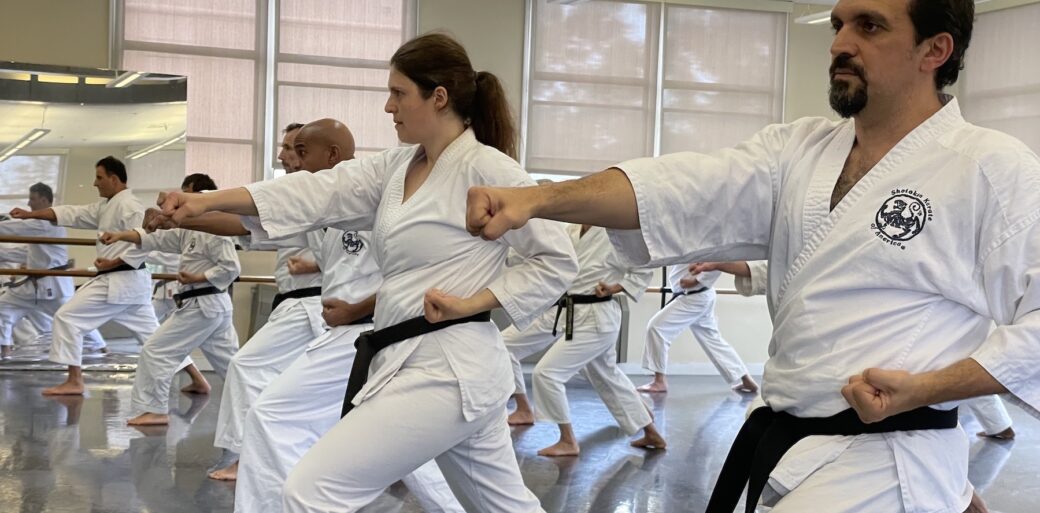 Members of Shotokan Karate practicing at a joint practice held in San Diego.