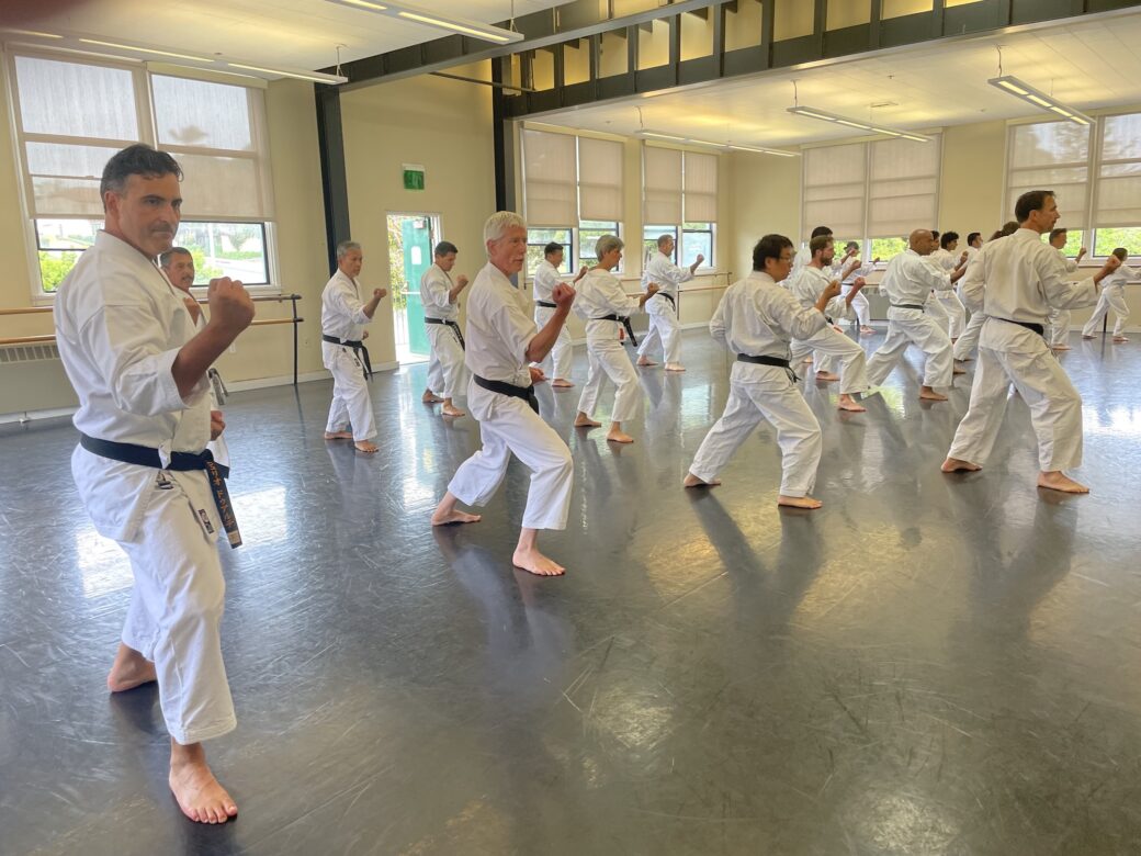 SKA members practicing inside-forearm blocks in San Diego.